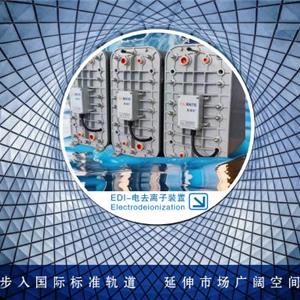 台湾亨莱克环保 EDI 电离子装置
